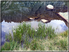 foto Lago Grande